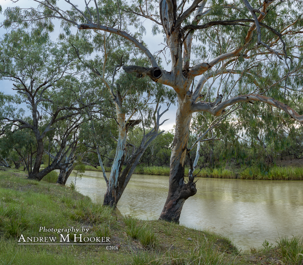 Barwon River Collarenebri